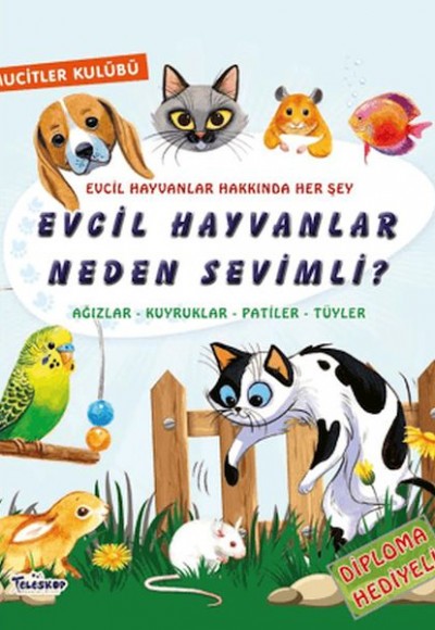 Evcil Hayvanlar Neden Sevimli?