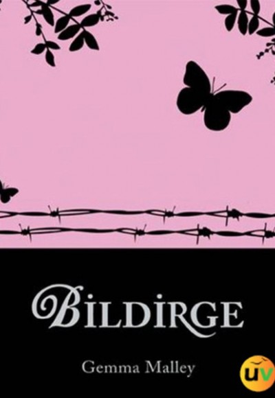 Bildirge