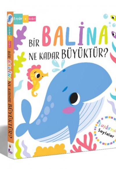 Bir Balina Ne Kadar Büyüktür? – Kaydır + Keşfet