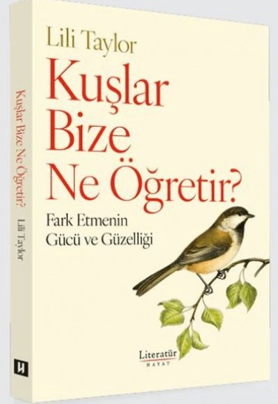 Kuşlar Bize Ne Öğretir?