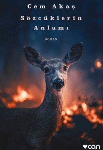 Sözcüklerin Anlamı