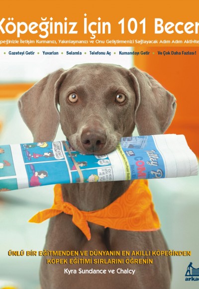 Köpeğiniz İçin 101 Beceri - Adım Adım Aktiviteler