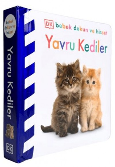Bebek Dokun Ve Hisset - Yavru Kediler